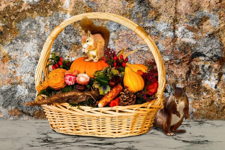 5 Objekte, die Ihrem Zuhause im Herbst Schönheit verleihen!
