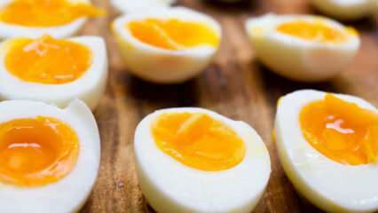 Wie soll das gekochte Ei gelagert werden? Tipps für das ideale Kochen von Eiern