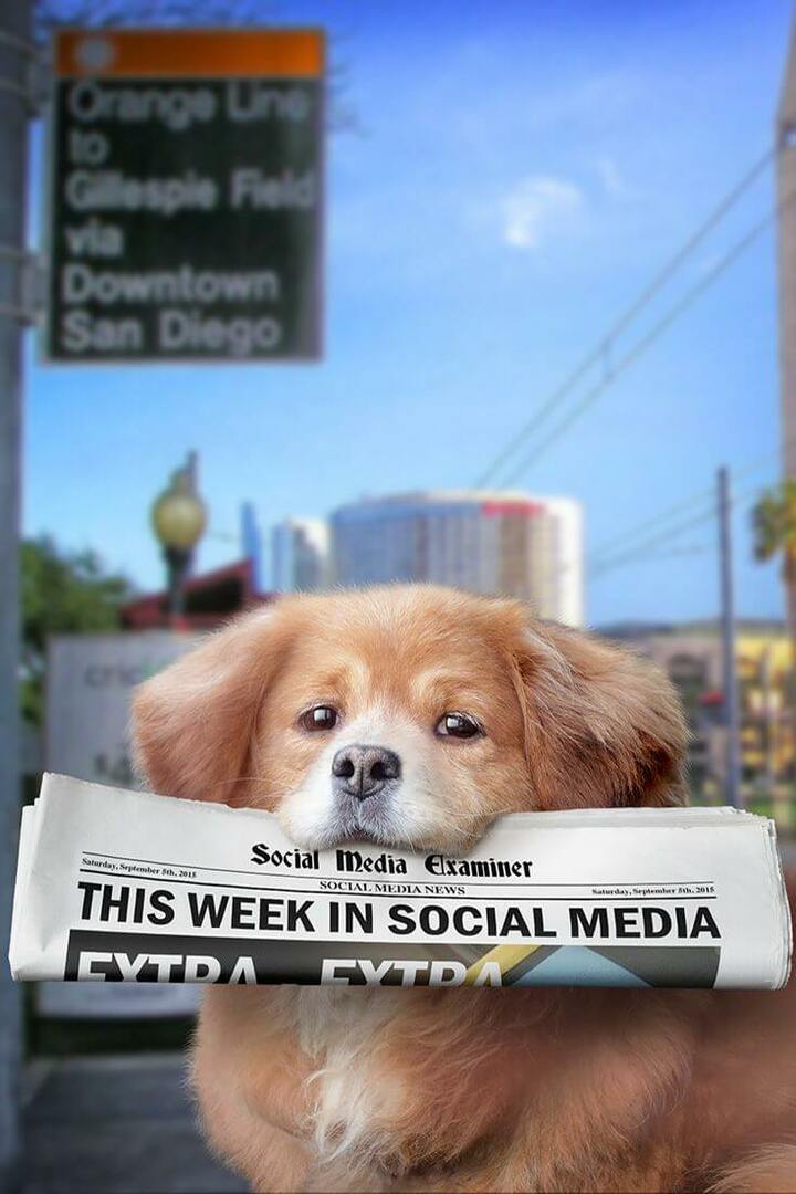 Periscope sendet nativ auf Twitter: Diese Woche in Social Media: Social Media Examiner