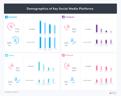 Demografie der sozialen Medien