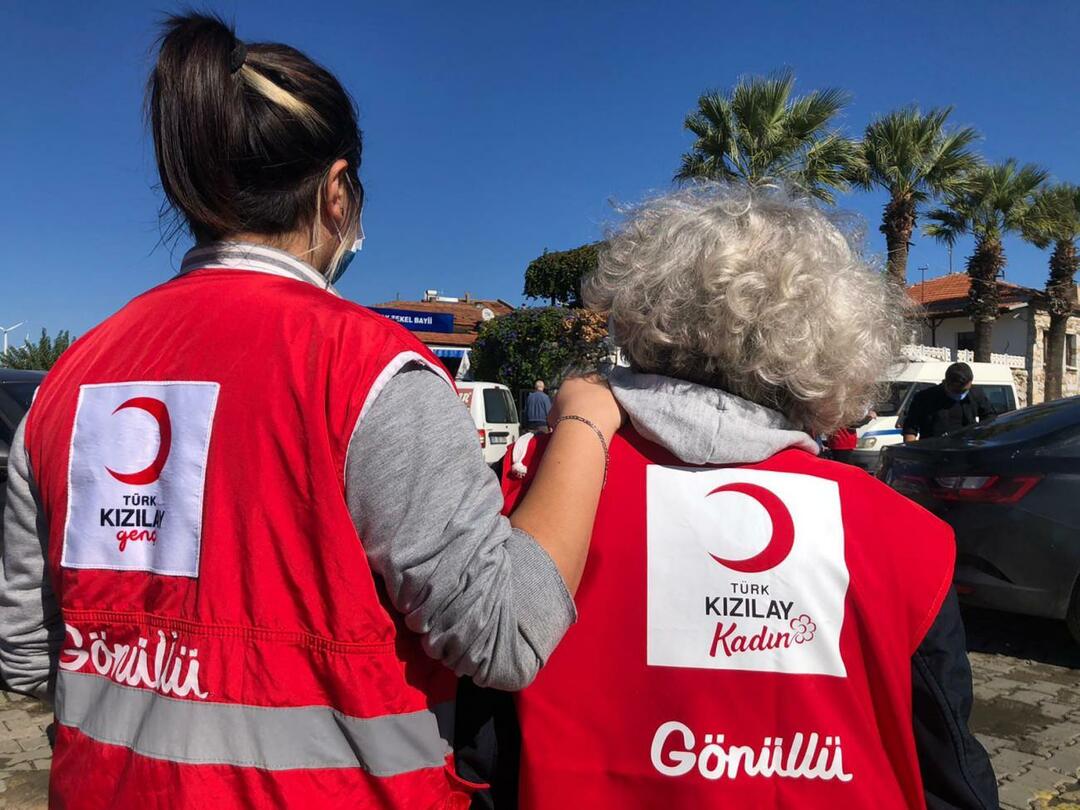 Ein neuer Durchbruch vom Türkischen Roten Halbmond: Einrichtung einer speziellen WhatsApp-Leitung für Erdbebenopfer