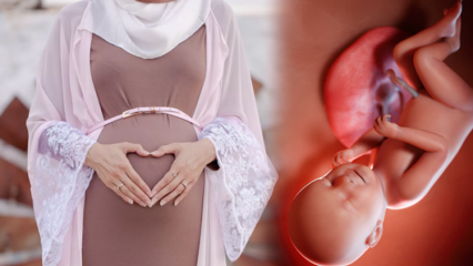 Gebete für die Gesundheit des Babys während der Schwangerschaft und dhikr esmaül hüsna