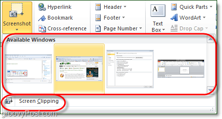 Das Screenshot-Tool bietet in Office 2010 zwei Optionen