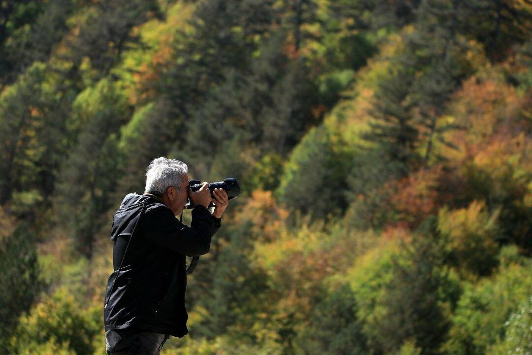 Berg Ilgaz: Alle Farben des Herbstes sind hier