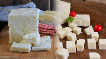 Was ist Ezine-Käse und wie wird er verstanden? Ezine Käse Rezept