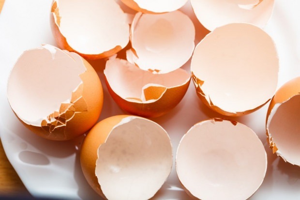 Kariesbehandlung mit Eierschale