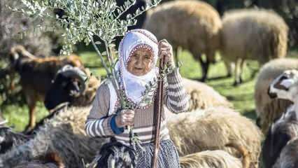 Tante Fatma ist seit einem halben Jahrhundert ein Hirte am Fuße des Amanos-Gebirges!