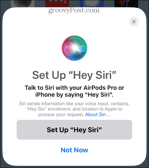 Siri-Optionen