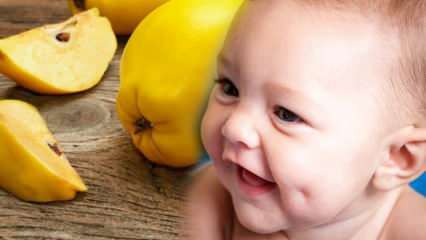 Hat Quitte Grübchen? Verschönert das Essen von Quitten während der Schwangerschaft das Baby?