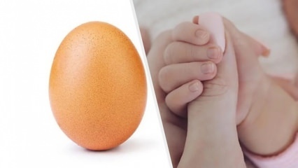 Ein rekordverdächtiges Ei mit 28 Millionen Likes