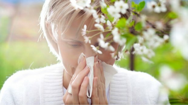 SPRING ALLERGY PROTECTION