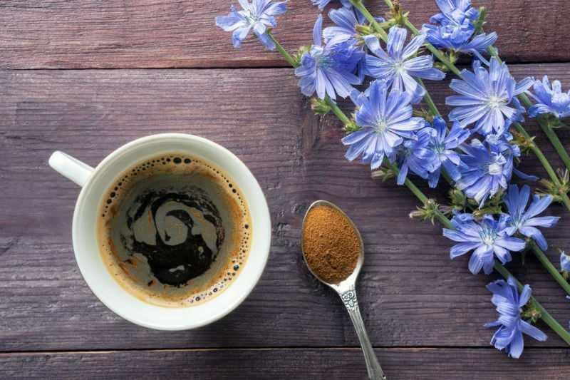 Was ist Chicorée-Kaffee, wie wird Chicorée-Kaffee hergestellt?