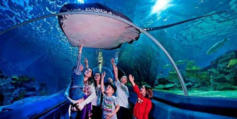  Szenen aus dem Istanbul Sea Life Aquarium