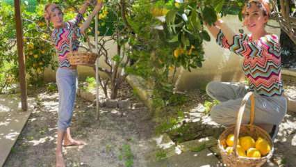 Sängerin Tuğba Özerk pflückte Zitrone vom Baum in ihrem eigenen Garten!