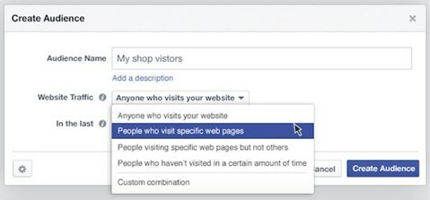 Facebook schafft Publikum Website-Verkehr