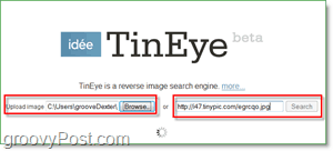 TinEye Screenshot - Suchen Sie in Ihrem Bild nach Duplikaten und größeren Versionen