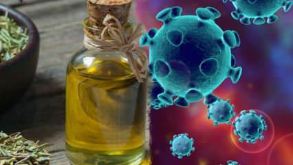 Ist Thymianöl gut für Coronavirus? Was sind die Vorteile von Oregano und Thymian Tee?