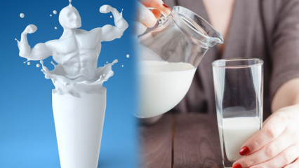 Schwächt sich das Trinken von Milch vor dem Schlafengehen ab? Permanente und gesunde Schlankheitsmilchdiät