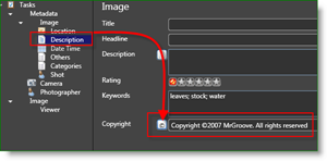 Microsoft Pro Photo Tools Fotograf MetaData Auto Copyright:: groovyPost.com