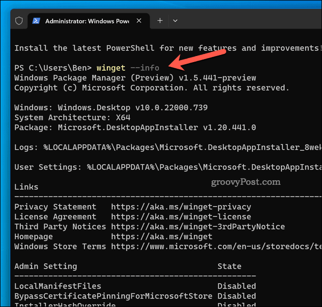 Winget-Info-Befehl