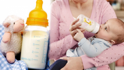 Wie bereite ich Babynahrung für Babys zu Hause zu? Nahrhafte Babynahrungsrezepte