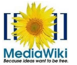 MediaWiki Plugin für Microsoft Word 2010 und 2007