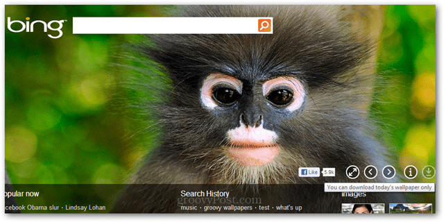Verwenden Sie Bing-Homepage-Bilder als Hintergrundbild