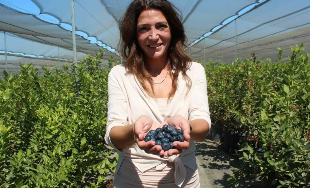 Durch den Anbau von Blaubeeren wurde er zum drittgrößten Landwirt der Türkei!