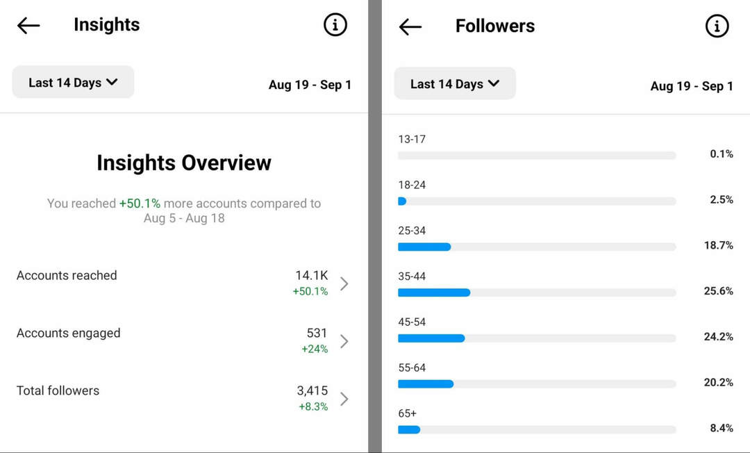 wie-man-überprüft-audience-insights-auf-instagram-app-overview-followers-example-3