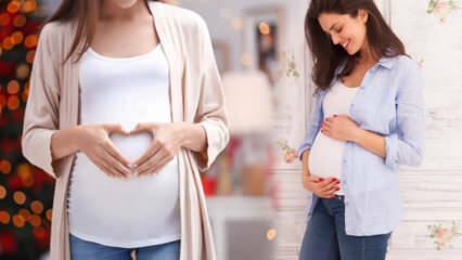 Was ist die Ovulationsperiode? Wann muss man Geschlechtsverkehr haben, um schwanger zu werden?