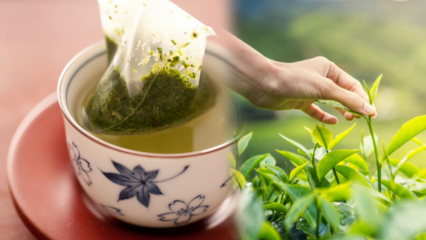 Schwächt das Schütteln von grünem Tee? Was ist der Unterschied zwischen Teebeuteln und gebrühtem Tee? Wenn Sie vor dem Schlafengehen grünen Tee trinken ...