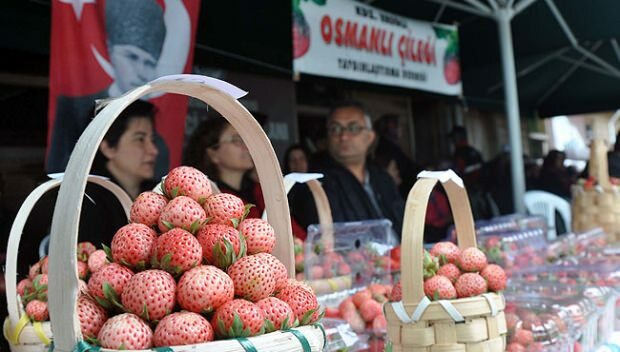 Ereğli Osmanisches Erdbeerkultur- und Kunstfestival 