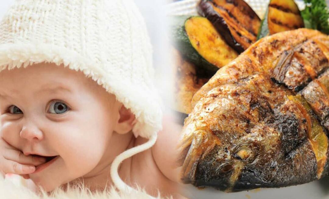 Wann soll man Babys Fisch geben? Wie gebe ich Babys Fisch und wie koche ich ihn?