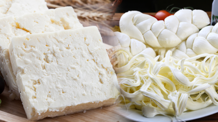 Wie versteht man guten Käse? Tipps zur Auswahl von Käse