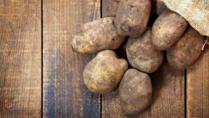 Wie werden Kartoffeln gelagert?