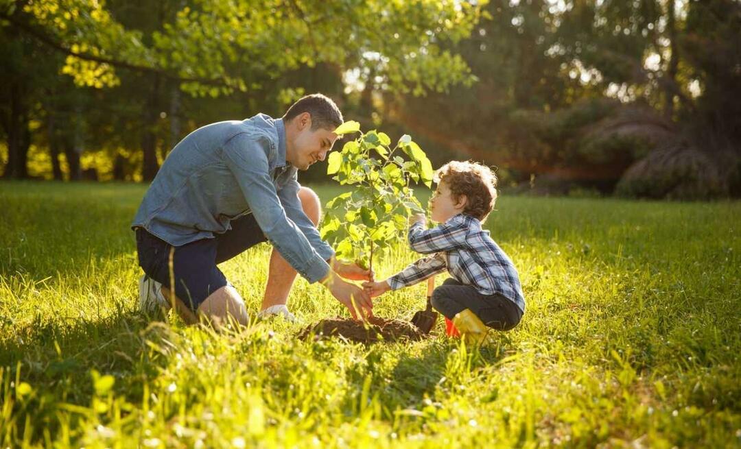 Wie kann man Kindern die Liebe zur Natur vermitteln? Wie erklärt man Kindern die Bedeutung der Natur?