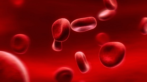 Was ist eine Blutgruppendiät? Wie wird es gemacht?