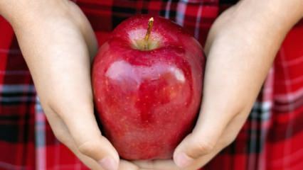 Wie werden faule Äpfel bewertet? 
