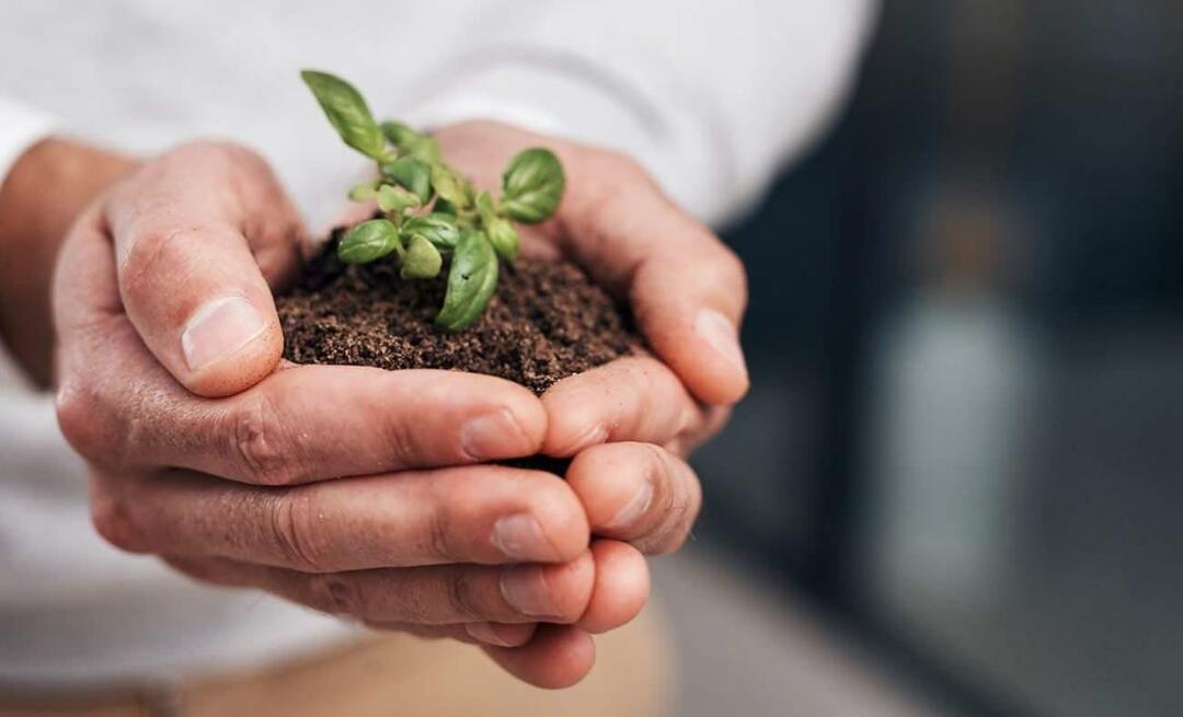 Was ist Zero Waste? Was ist das Ziel mit Zero Waste? „Zero Waste“-Mobilisierung von Emine Erdoğan