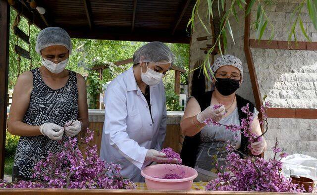 Wie macht man die einfachste Redbud-Blumenmarmelade? Tipps für Redbud Blumenmarmelade