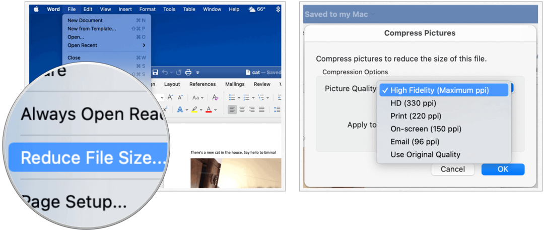 Microsoft Word auf Mac reduziert die Dateigröße
