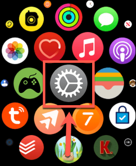 Apple Watch Einstellungen App