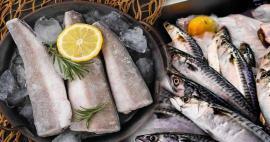 Wie wird Fisch gelagert? Was sind die Tricks, um Fisch im Gefrierschrank aufzubewahren?