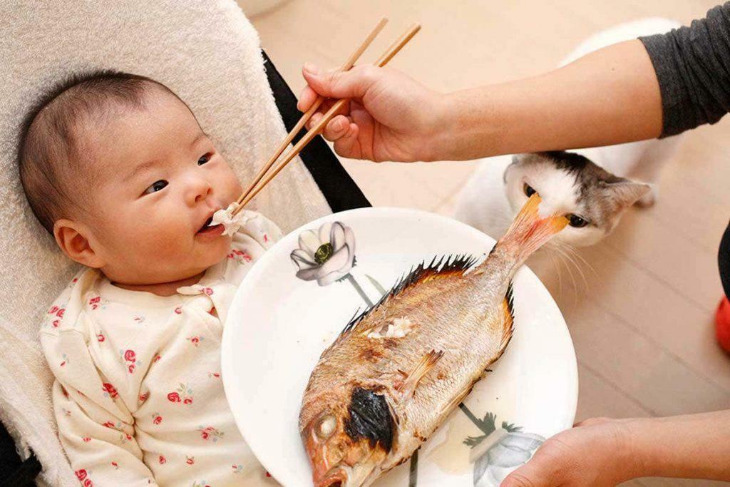 Baby mit Fisch füttern