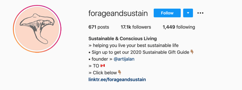 Beispiel für ein Instagram-Profil von @forageandsustain mit einem Hinweis in den Profilinformationen, um auf den Bio-Link zu klicken, um weitere Informationen zu erhalten