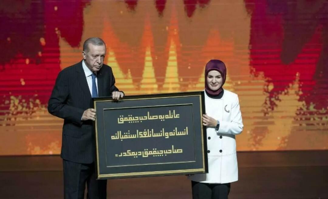 Ein bedeutungsvolles Geschenk von Mahinur Özdemir Göktaş an Erdoğan!