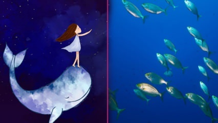 Was bedeutet es, Fische in einem Traum zu sehen? Laut Diyanet bedeutet das Fischen im Traum ...