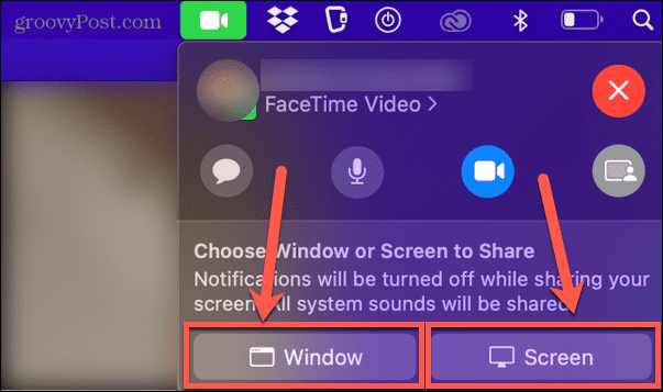 Facetime-Fenster oder Bildschirmfreigabe