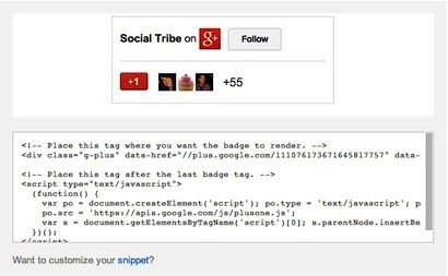 Beispiel für Google + Badge Code