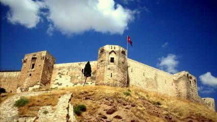 Tunnel und Wasserflächen wurden in der historischen Burg Gaziantep entdeckt!